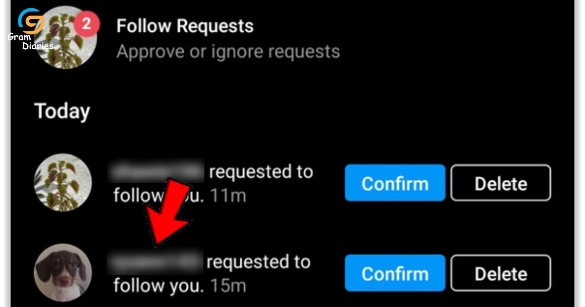 Do Instagram Follow Requests Expire by How to Check the Status of a Follow Request