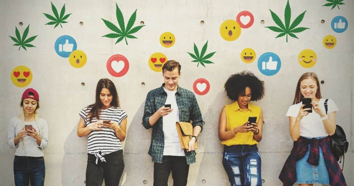 Engaging With the Weed Community: Building a Following and Interacting With Followers