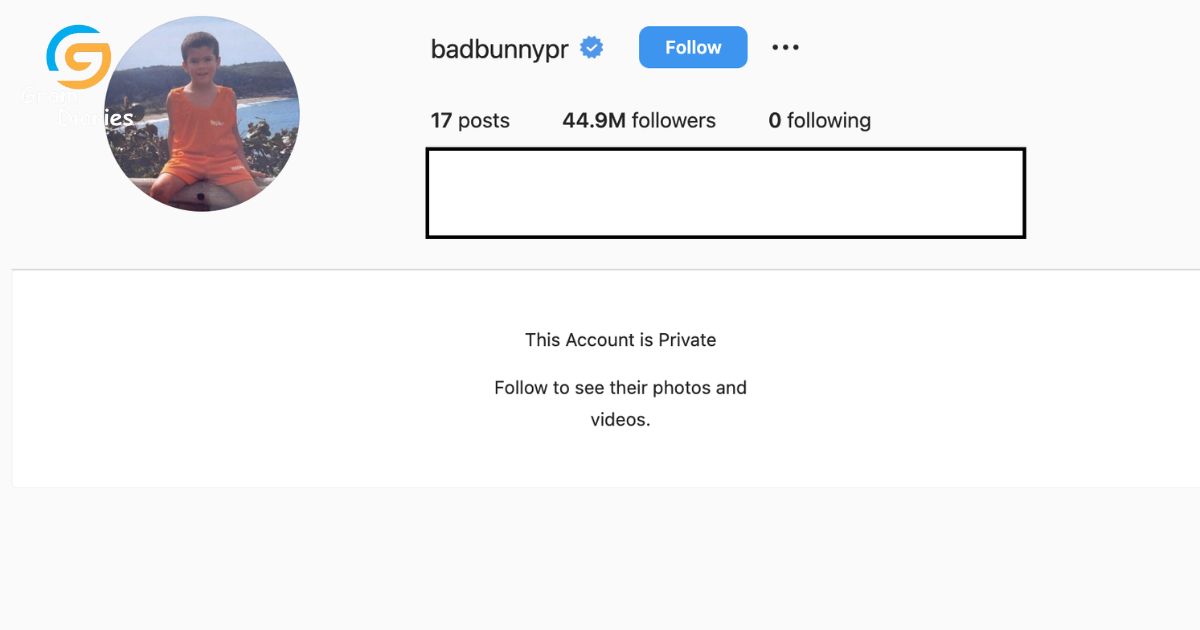 Possible Reasons for Bad Bunny's Alleged Loss of Followers