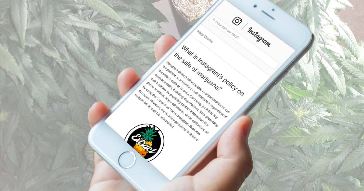 Understanding Instagram's Community Guidelines for Cannabis Content